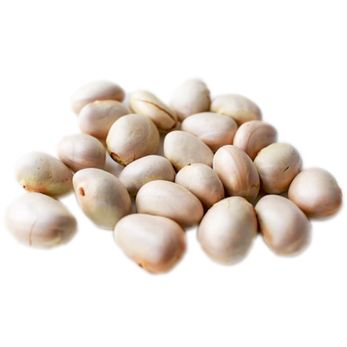 Kathal Bichi | Jackfruit seeds